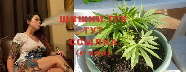 гидропоника Белокуриха