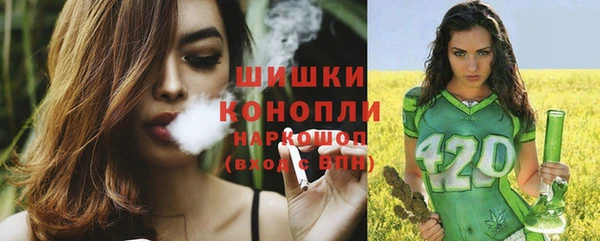гидропоника Белокуриха