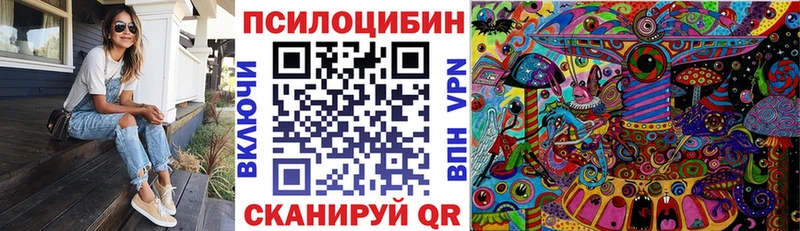 гидра ТОР Городец Псилоцибиновые грибы прущие грибы